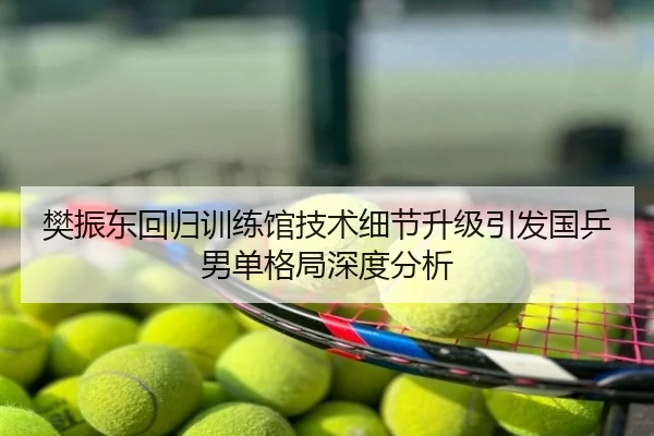 樊振东回归训练馆技术细节升级引发国乒男单格局深度分析