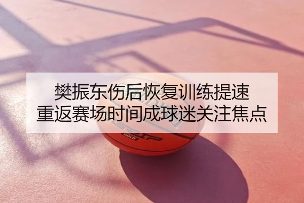 樊振东伤后恢复训练提速 重返赛场时间成球迷关注焦点